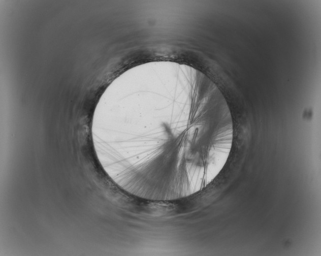 X0000111500707200908251050