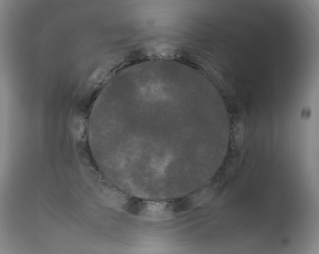 X0000111500709200908251050