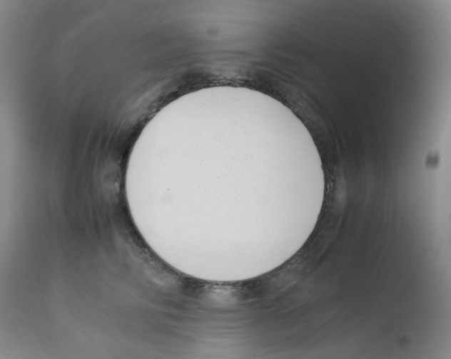 X0000111500710200908251050