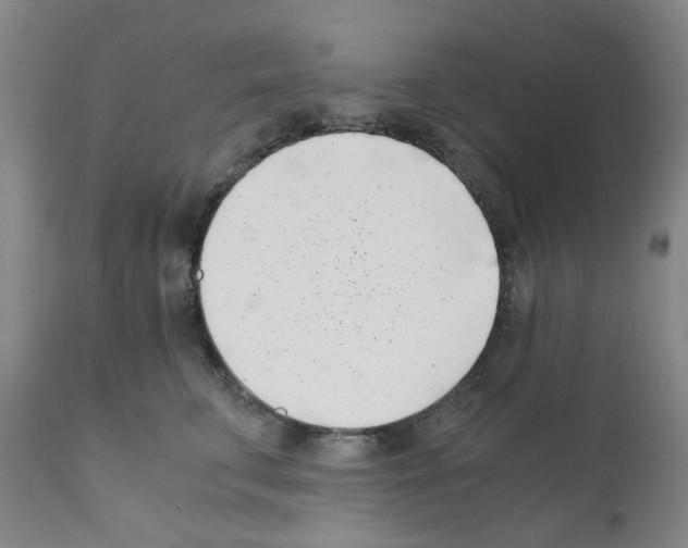 X0000111500711200908251050