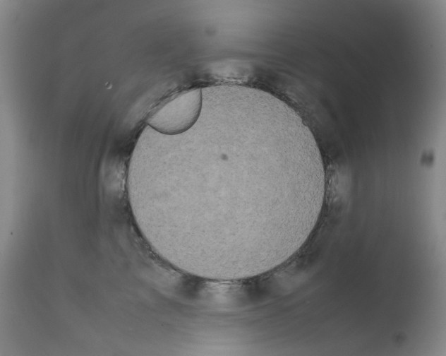 X0000111500713200908251050