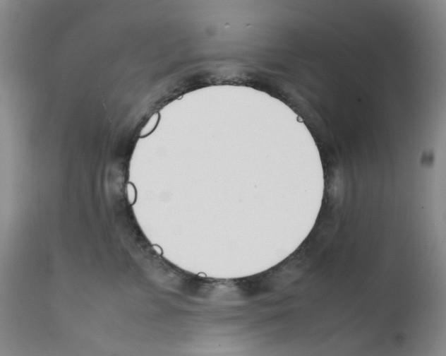 X0000111500715200908251050