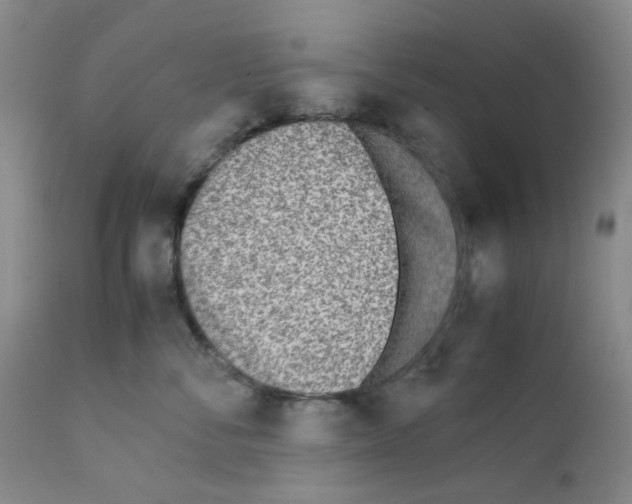 X0000111500716200908251050