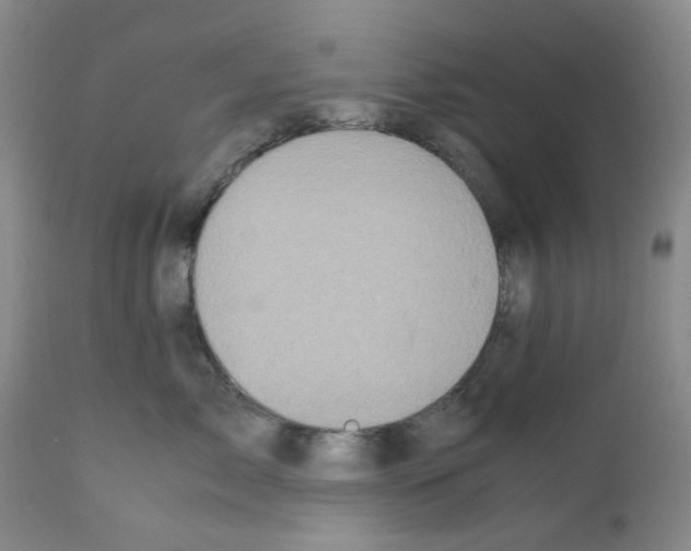 X0000111500717200908251050