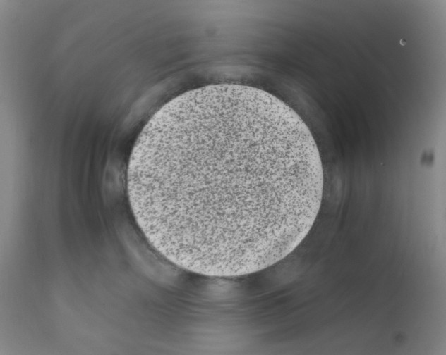 X0000111500718200908251050