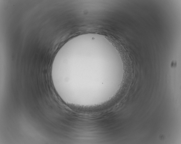 X0000111500720200908251049