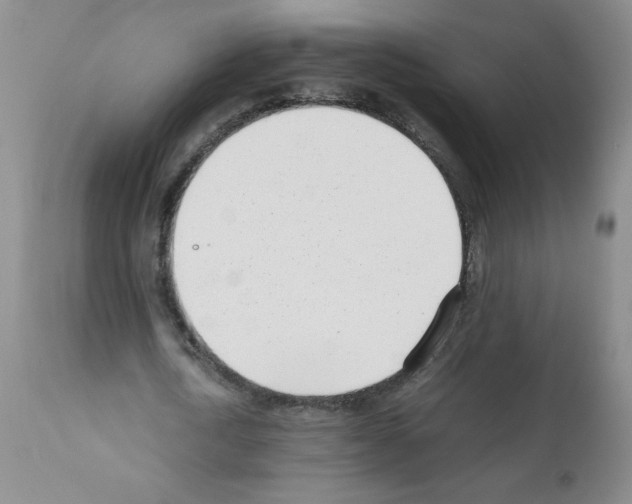 X0000111500722200908251049