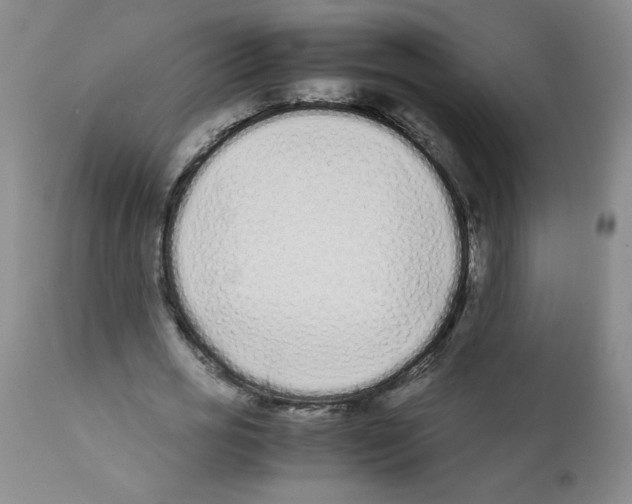 X0000111500725200908251049