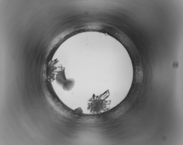 X0000111500726200908251049