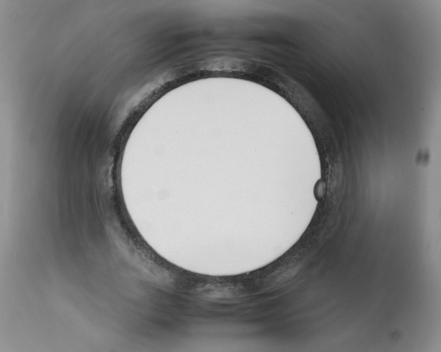 X0000111500727200908251049