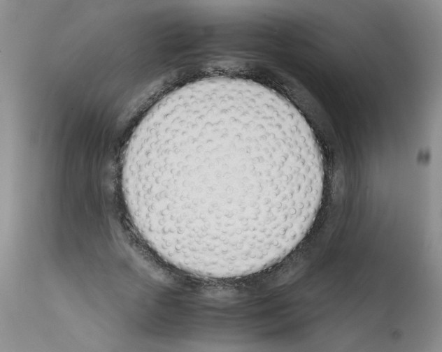 X0000111500729200908251049