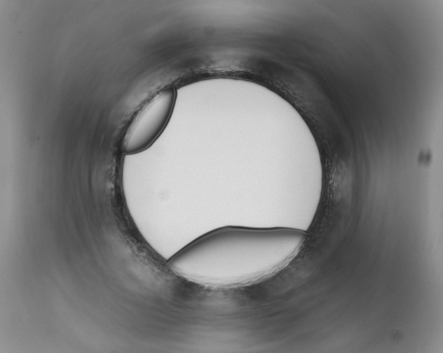 X0000111500732200908251049