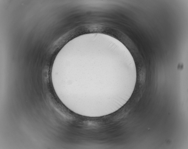 X0000111500733200908251049