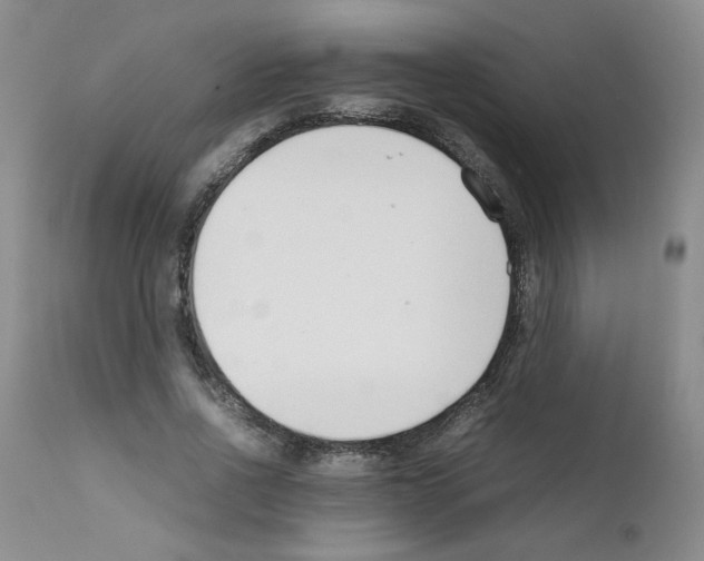 X0000111500734200908251049