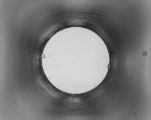 X0000111500735200908251049