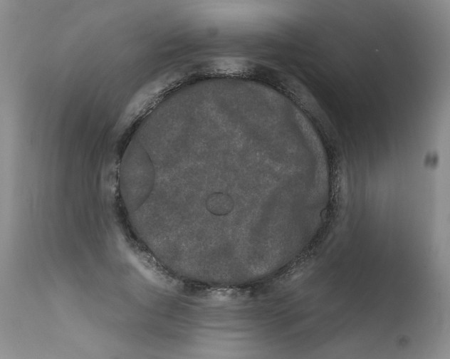 X0000111500736200908251049