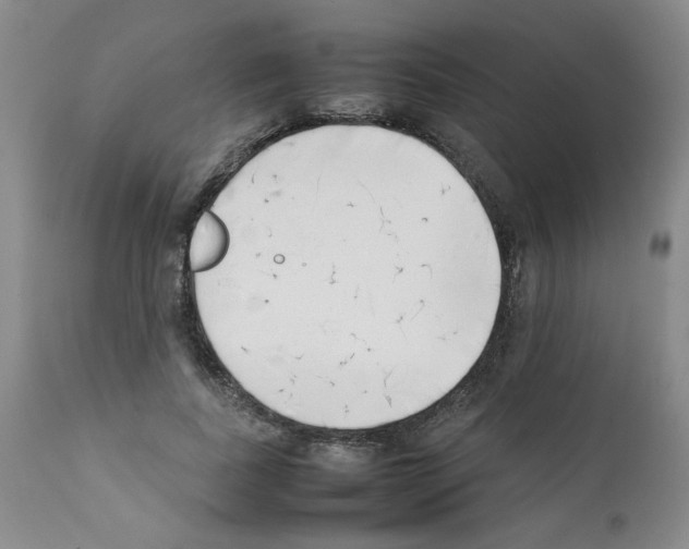 X0000111500739200908251049