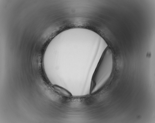 X0000111500740200908251049