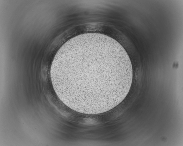 X0000111500741200908251049