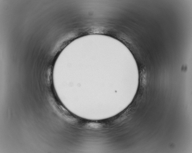 X0000111500742200908251049