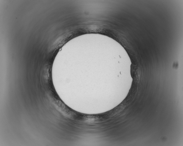 X0000111500746200908251049