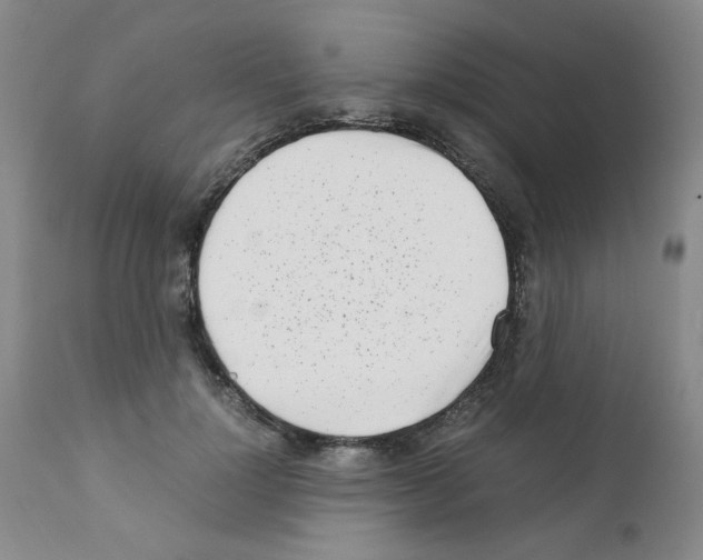 X0000111500748200908251049