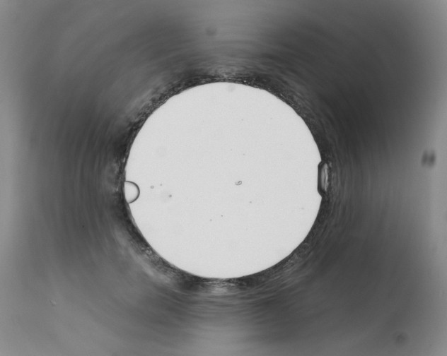 X0000111500750200908251049