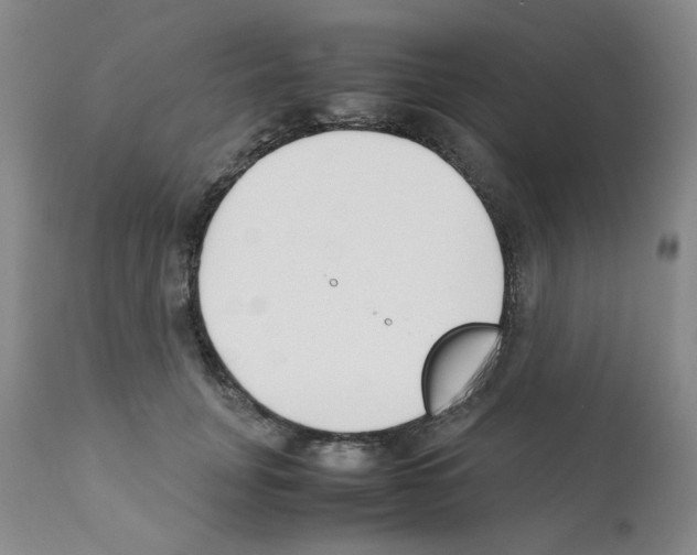 X0000111500751200908251049