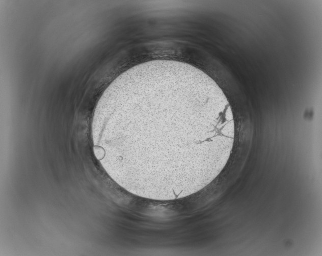 X0000111500753200908251049