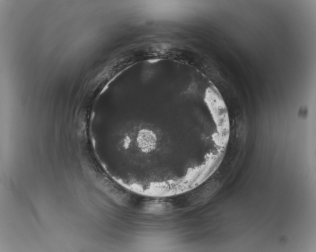 X0000111500754200908251049