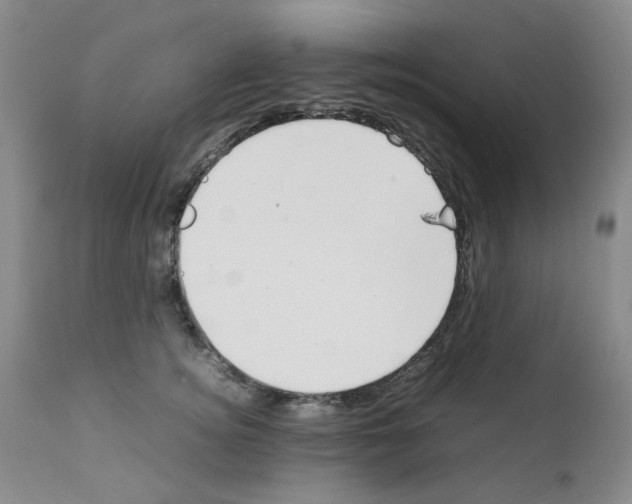 X0000111500756200908251049