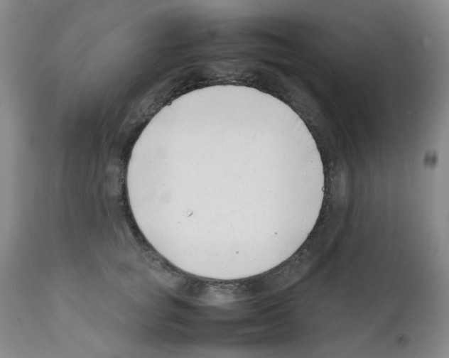 X0000111500757200908251049