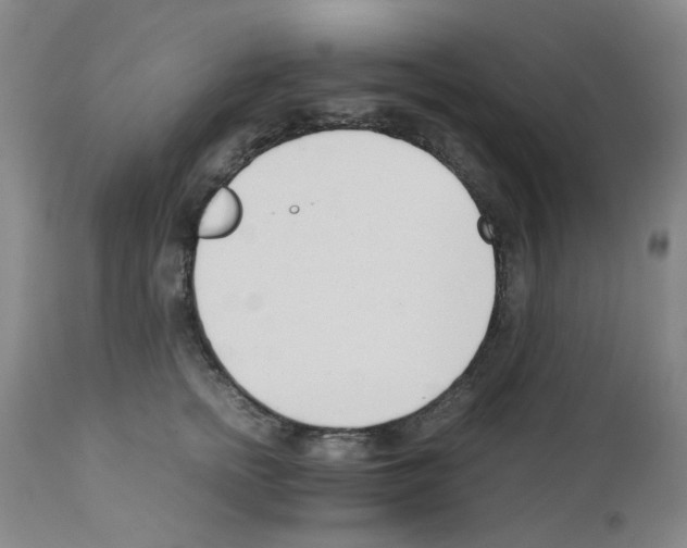 X0000111500758200908251049