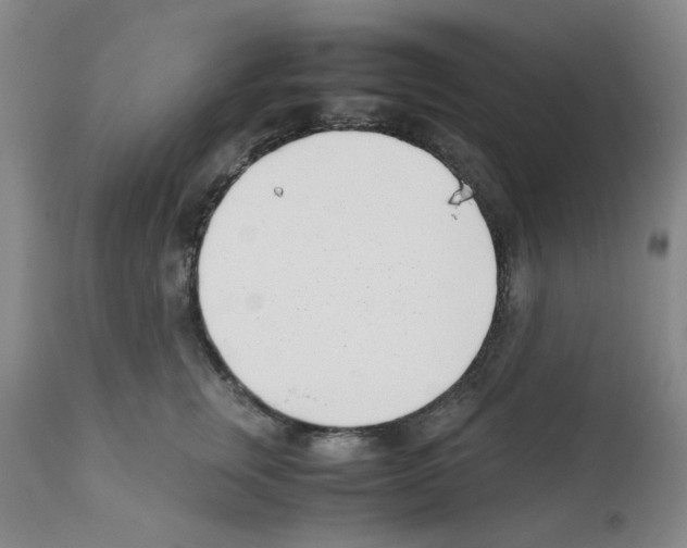 X0000111500759200908251049