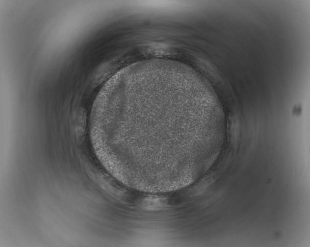 X0000111500760200908251049