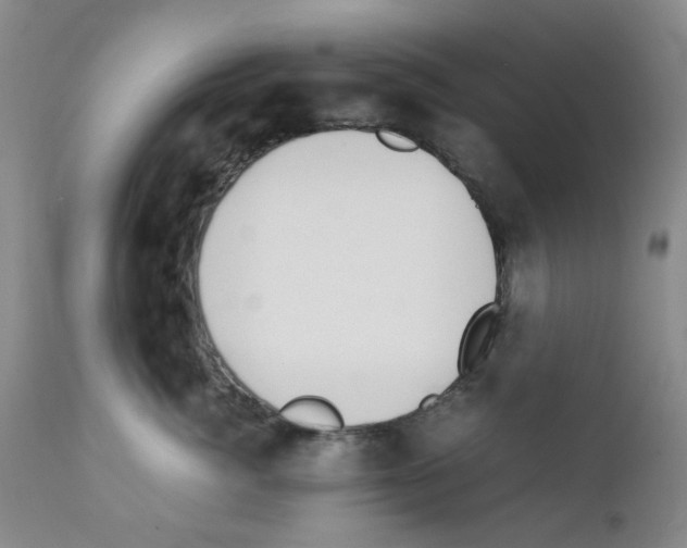 X0000111500764200908251049