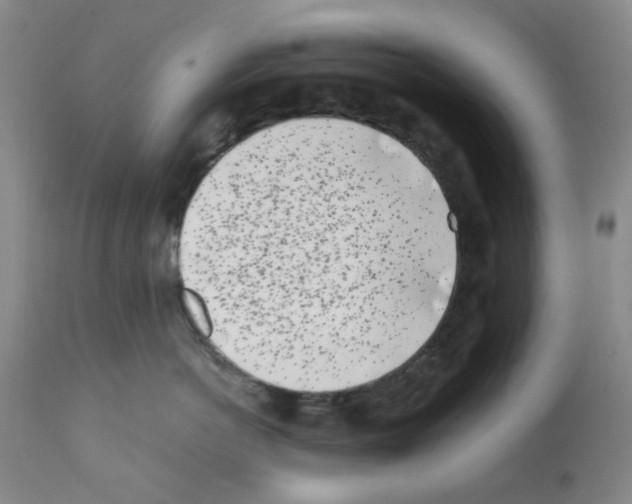 X0000111500766200908251049