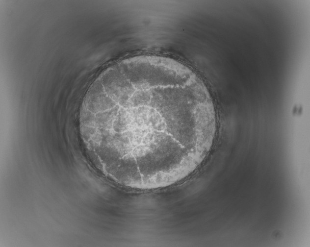 X0000111500769200908251048