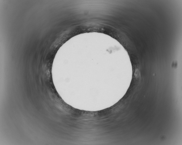 X0000111500771200908251048