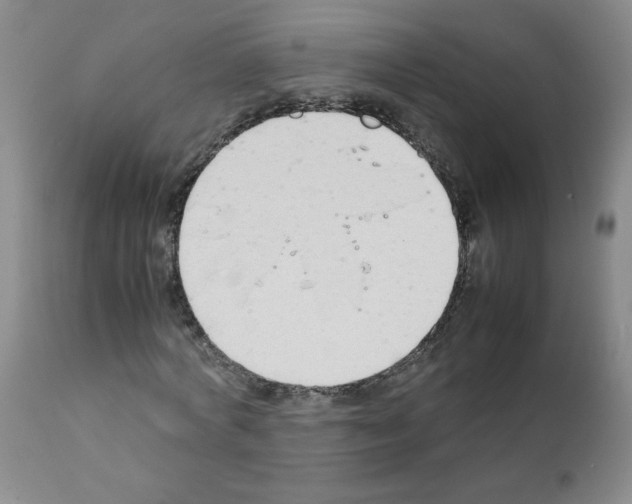 X0000111500772200908251048