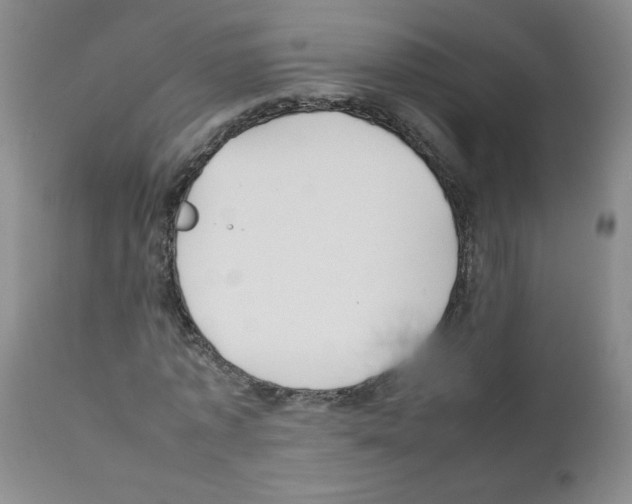 X0000111500773200908251048