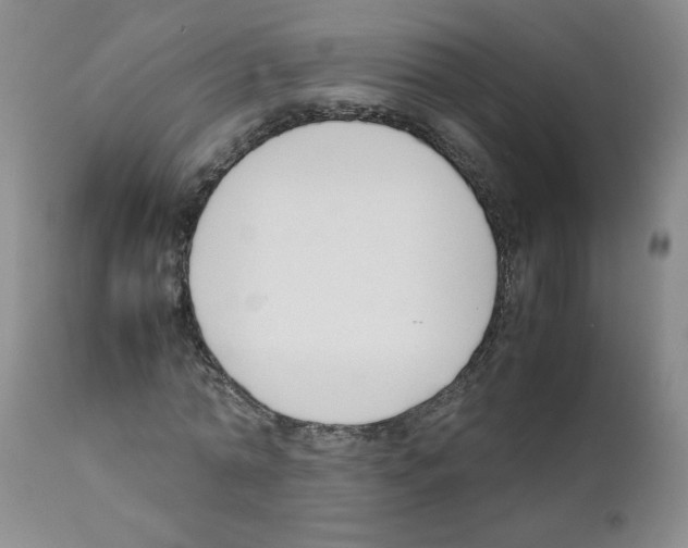 X0000111500774200908251048