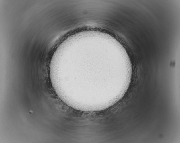 X0000111500776200908251048