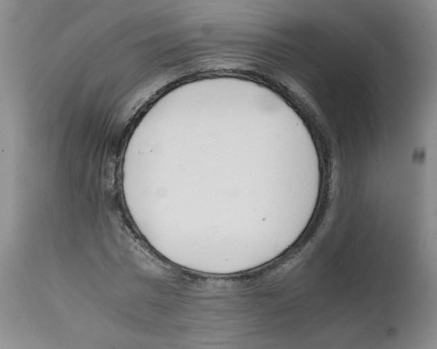 X0000111500777200908251048