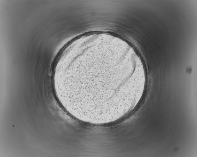 X0000111500779200908251048