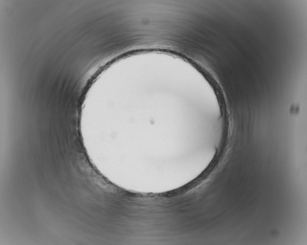 X0000111500781200908251048