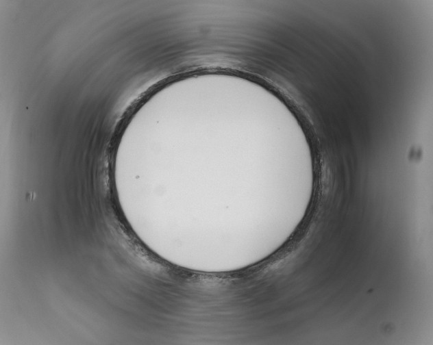 X0000111500782200908251048