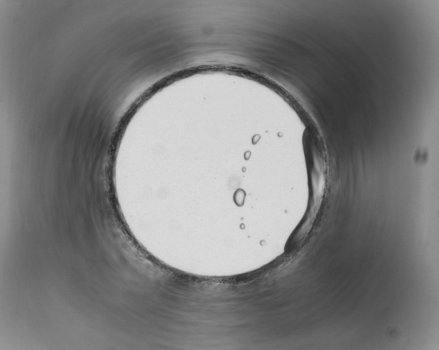 X0000111500783200908251048