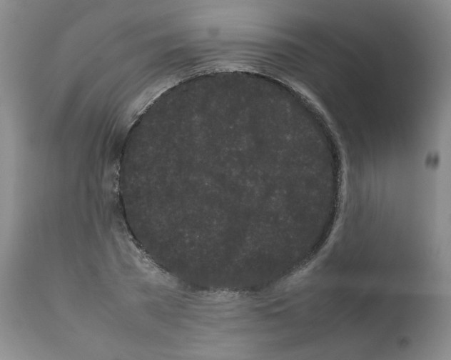 X0000111500785200908251048