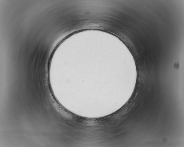 X0000111500792200908251048